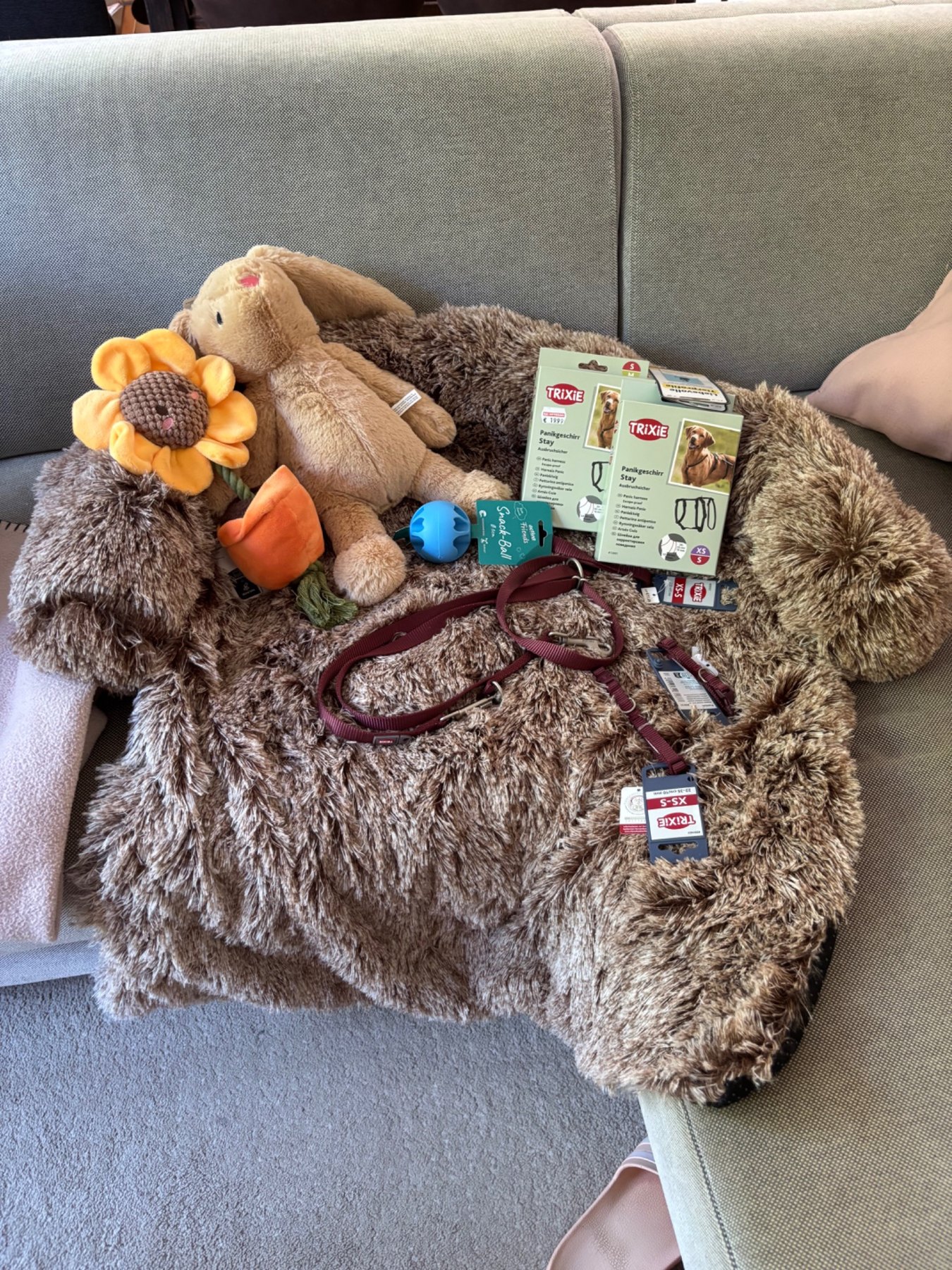 Honeys erste Erstausstattung mit Körbchen, Sicherheitsgeschirr, Leine und Spielzeug