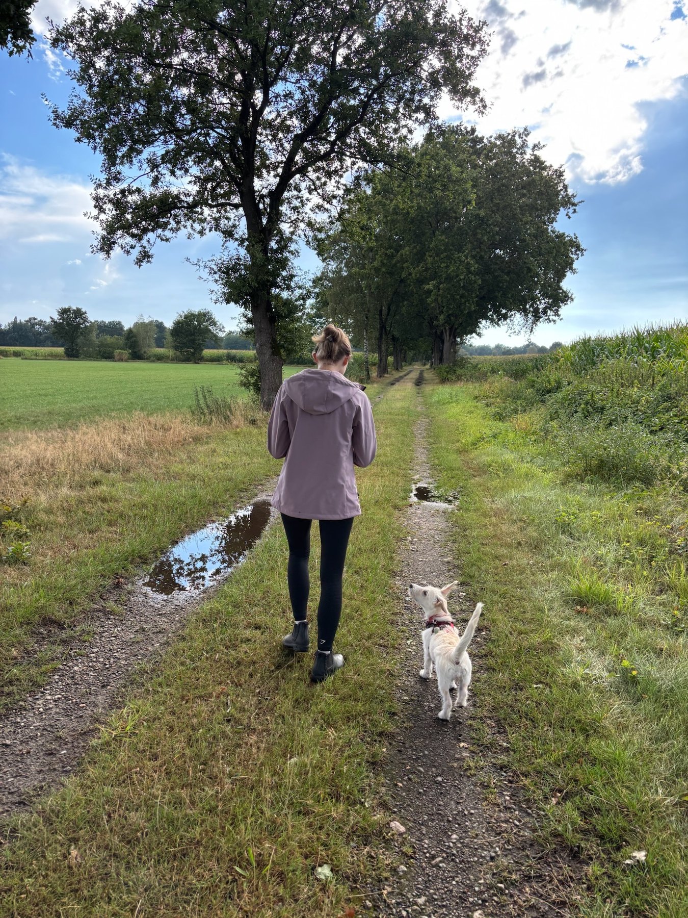 Honey orientiert sich bei einem Spaziergang an mir und schaut zu mir hoch